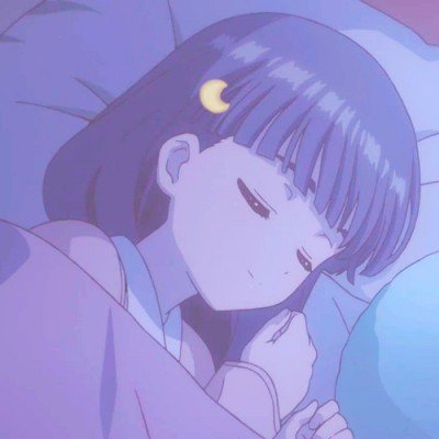 宠物馆17条狗死亡